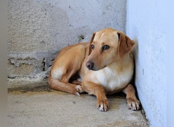 Bendix - wenn du mutig bist, dann bin ich es auch!