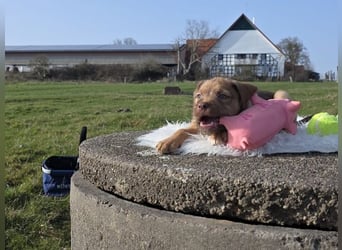 Lumi - Also ehrlich, wir sind doch noch Babys!