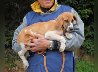 Waylo - Als Mama noch bei uns war