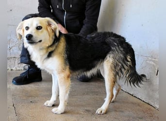 Fioralba - Fantastisches Powerpaket mit Freundlichkeitsbonus