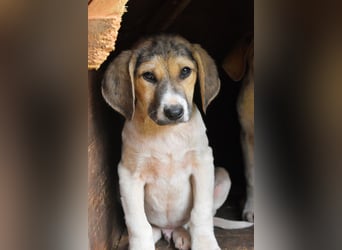 Wasker - Als Mama noch bei uns war