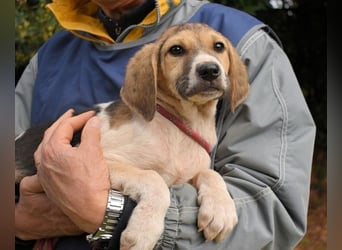 Wasker - Als Mama noch bei uns war