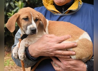 Waylo - Als Mama noch bei uns war