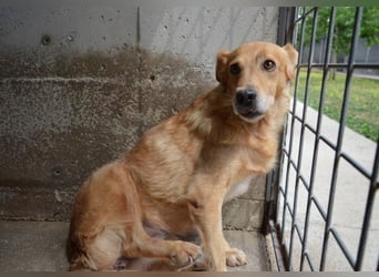 Ferelith - Was wäre, wenn....