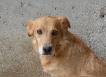 Ferelith - Was wäre, wenn....