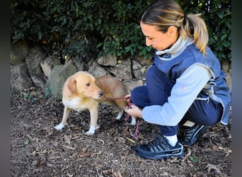 Burke - Der sanfte Bruder mit dem warmen Blick