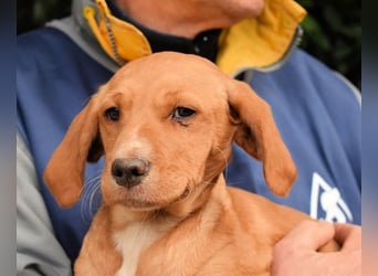 Wixelle - Als Mama noch bei uns war