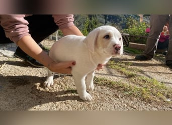 Ilvy - Neunmal werden wir noch wach...