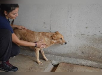 Ferelith - Was wäre, wenn....