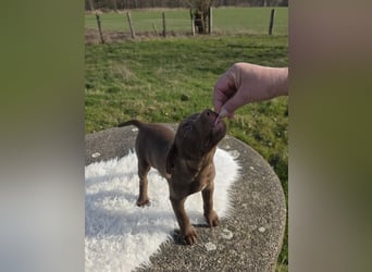 Liva - Also ehrlich, wir sind doch nur Babys!