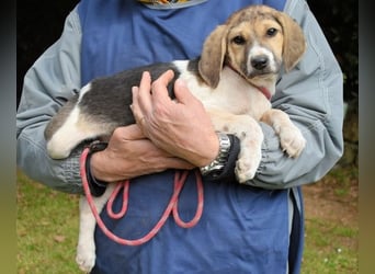 Wasker - Als Mama noch bei uns war