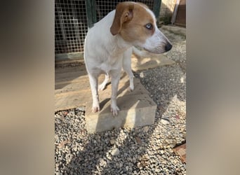 Zoe - Mit Schutzengeln gesegnet