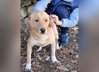 Burke - Der sanfte Bruder mit dem warmen Blick