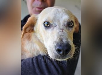 Boris - Wie lange würdest du das aushalten?