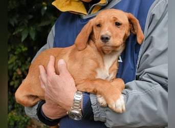 Wixelle - Als Mama noch bei uns war