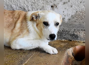 Simbad - Ein verlässlicher Partner...