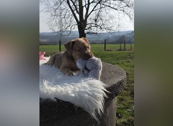 Lumi - Also ehrlich, wir sind doch noch Babys!