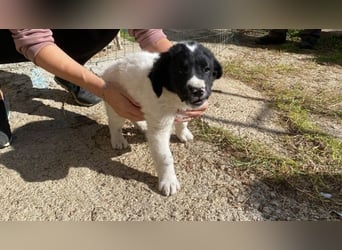 Ian - Neunmal werden wir noch wach...