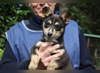 Vionella - Kuckuck...hallo...sind da draußen Menschen?