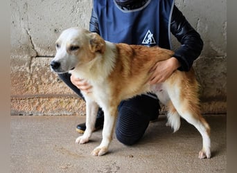 Simbad - Ein verlässlicher Partner...