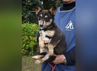 Vionella - Kuckuck...hallo...sind da draußen Menschen?