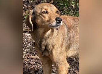 Kiro - Einmal alles auf (Neu)Anfang bitte!