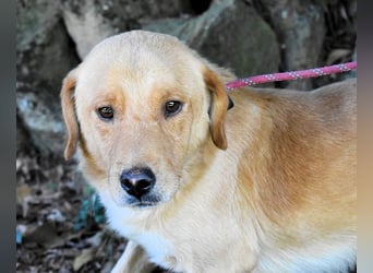 Burke - Der sanfte Bruder mit dem warmen Blick