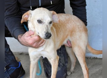 Boris - Wie lange würdest du das aushalten?