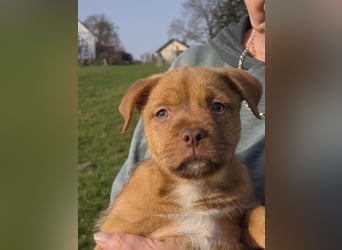 Linou - Also ehrlich, wir sind doch nur Babys!