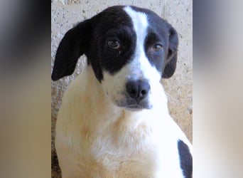 Raakel - Ein Anfang, der nie kam