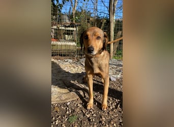 Kiro - Einmal alles auf (Neu)Anfang bitte!