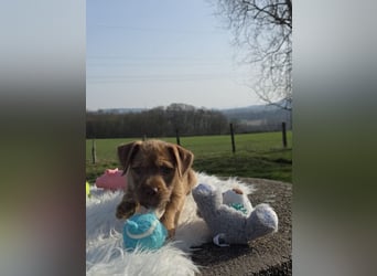 Lumi - Also ehrlich, wir sind doch noch Babys!