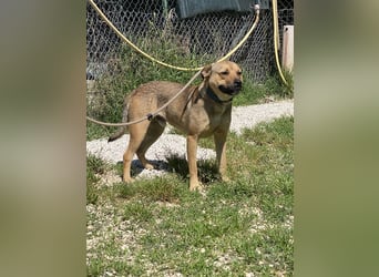 Faudor - Bist du die letzte Station meiner Odyssee?