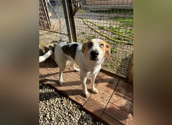 Zoe - Mit Schutzengeln gesegnet