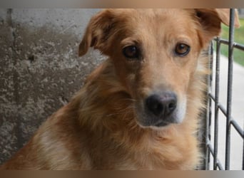 Ferelith - Was wäre, wenn....