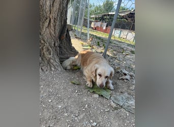 Ruby - wenn aus vorsichtigem Mut echtes Vertrauen wächst