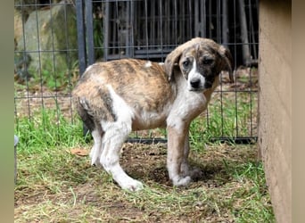 Woola - Als Mama noch bei uns war