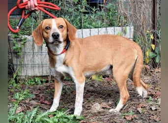 Cecilius - ein ruhiger Begleiter