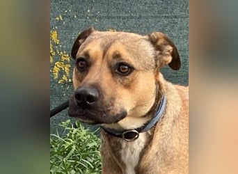 Faudor - Bist du die letzte Station meiner Odyssee?