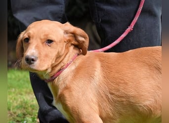 Wixelle - Als Mama noch bei uns war