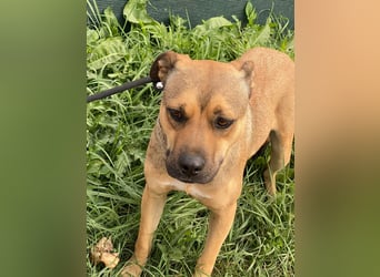 Faudor - Bist du die letzte Station meiner Odyssee?