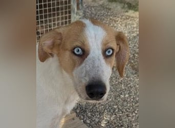 Zoe - Mit Schutzengeln gesegnet