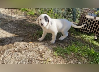 Isa - Neunmal werden wir noch wach...