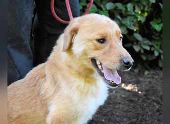Burke - Der sanfte Bruder mit dem warmen Blick