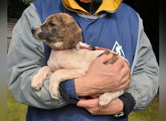 Woola - Als Mama noch bei uns war