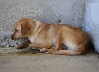 Bendix - wenn du mutig bist, dann bin ich es auch!