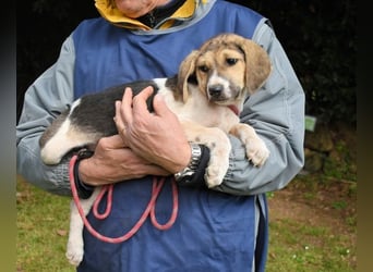 Wasker - Als Mama noch bei uns war