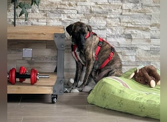 Branson - taut langsam auf und sucht Menschen mit Zeit