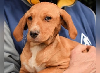 Wixelle - Als Mama noch bei uns war