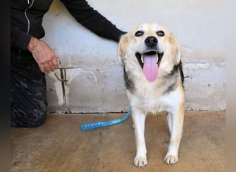 Fioralba - Fantastisches Powerpaket mit Freundlichkeitsbonus